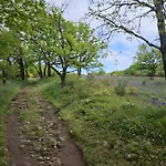 La Marguerite A La Campagne * 莱塞比耶