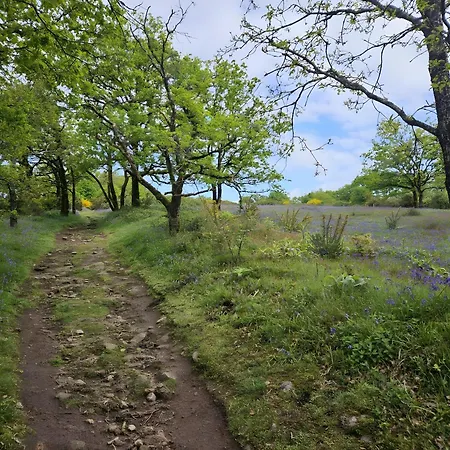 La Marguerite à La Campagne * Les Herbiers