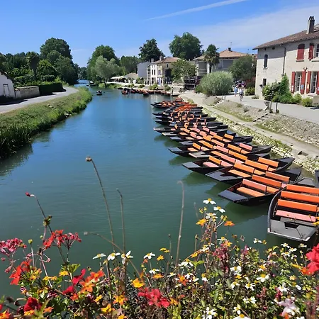 La Marguerite à La Campagne Les Herbiers