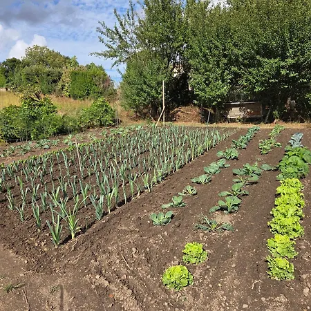 La Marguerite A La Campagne Holiday home