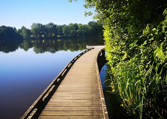 La Marguerite à La Campagne