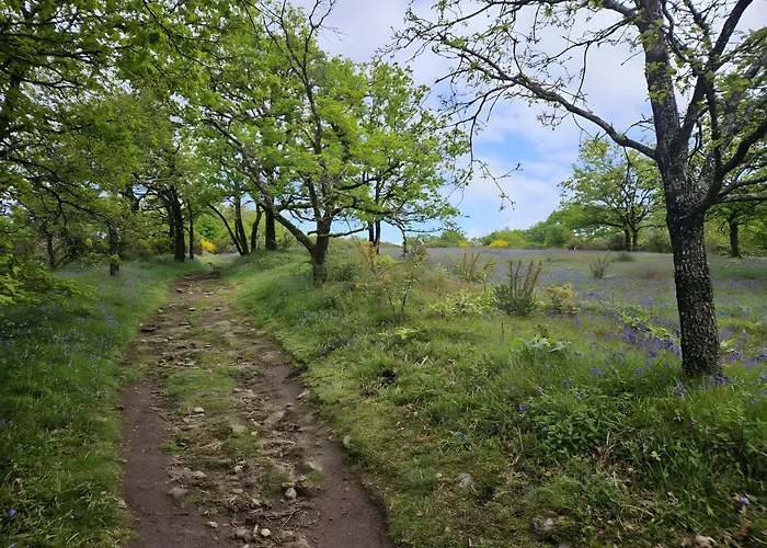 La Marguerite à La Campagne Les Herbiers